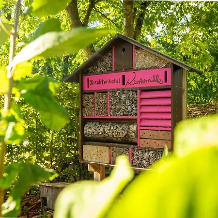 Weinhotel Restaurant Klostermühle Hotel 3*
