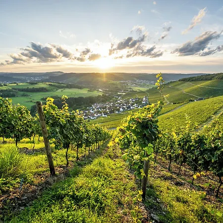 Weinhotel Restaurant Klostermuehle Отель Ockfen