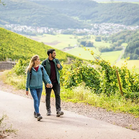 Weinhotel Restaurant Klostermuehle Отель 3*