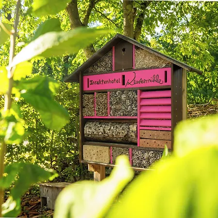 Weinhotel Restaurant Klostermuehle Отель