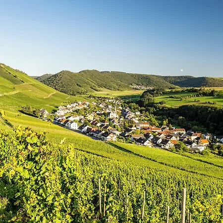 Weinhotel Restaurant Klostermuehle 3* Ockfen