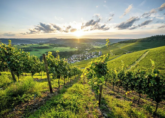 Weinhotel Restaurant Klostermuehle Hotel Ockfen