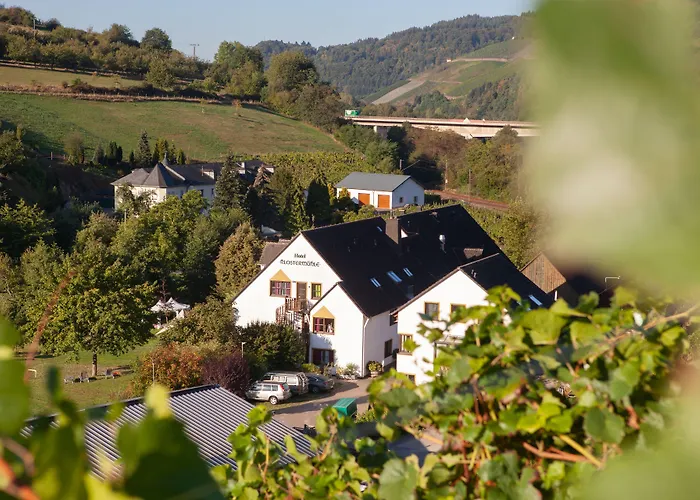 Hotel Weinhotel Restaurant Klostermuehle 3*