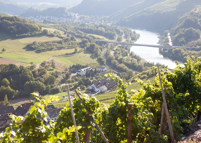 Weinhotel Restaurant Klostermuehle 3* Ockfen