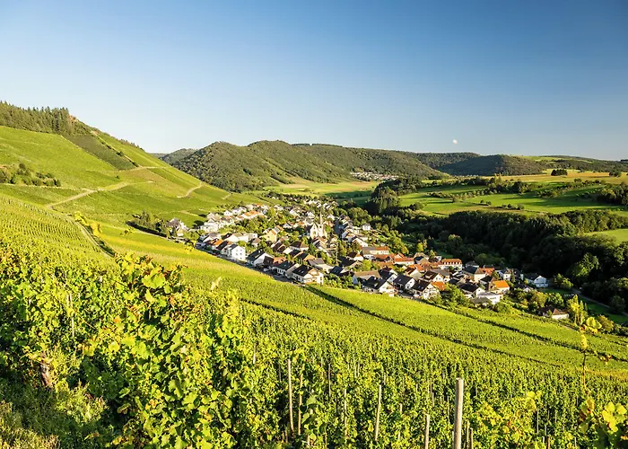 Weinhotel Restaurant Klostermuehle 3* Ockfen